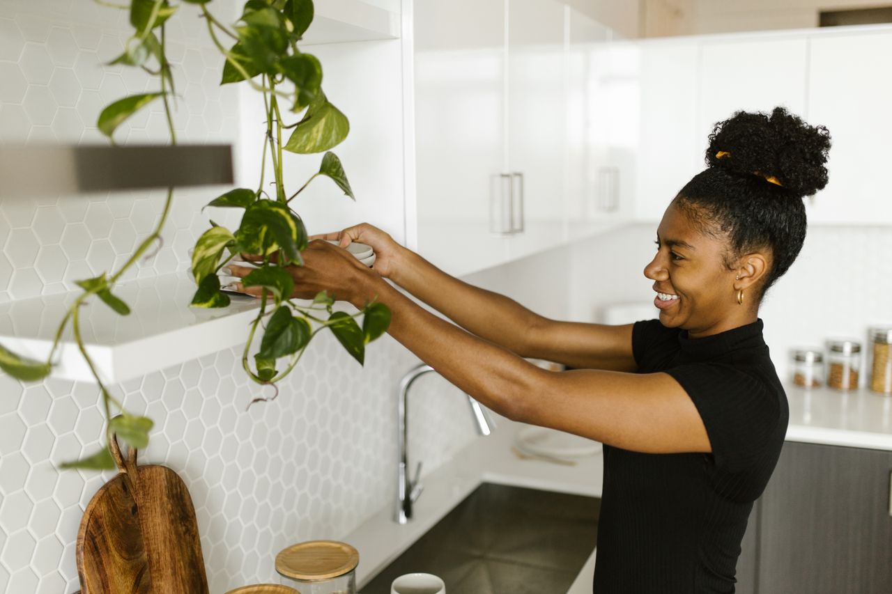 Trailing Pothos